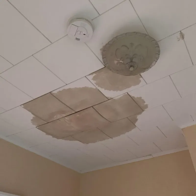 Ceiling Water Damage Repair in Carteret, NJ